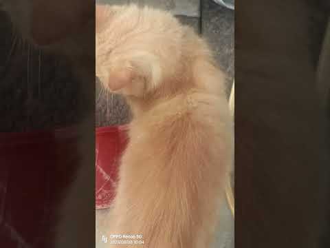 persuuu 🔥🔥🔥🔥😎😎🔥🔥😎🔥🔥❤️❤️❤️🔥🔥😎🔥🔥😎🔥🔥😎