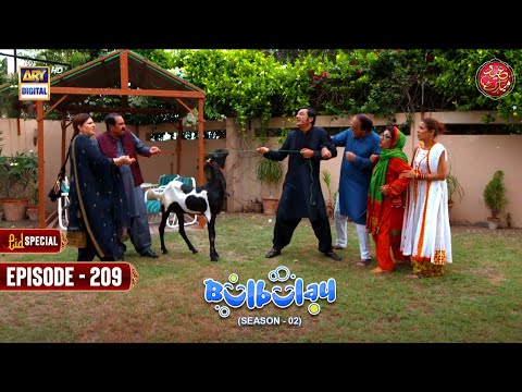 Bulbulay Season 2 Episode 209 | Eid Day 1 Special | 29th June 2023 | ARY Digital