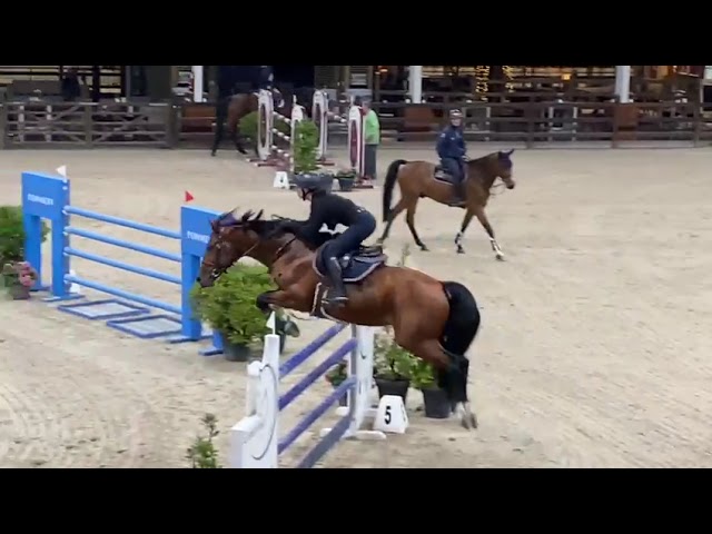 Oberon van 't Lohof - 7YO