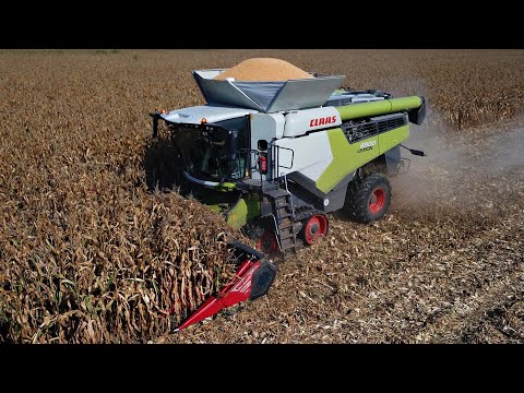 Claas Lexion 8900 | Capello Diamant 10 file | Trebbiatura mais 2025 | Carlassara