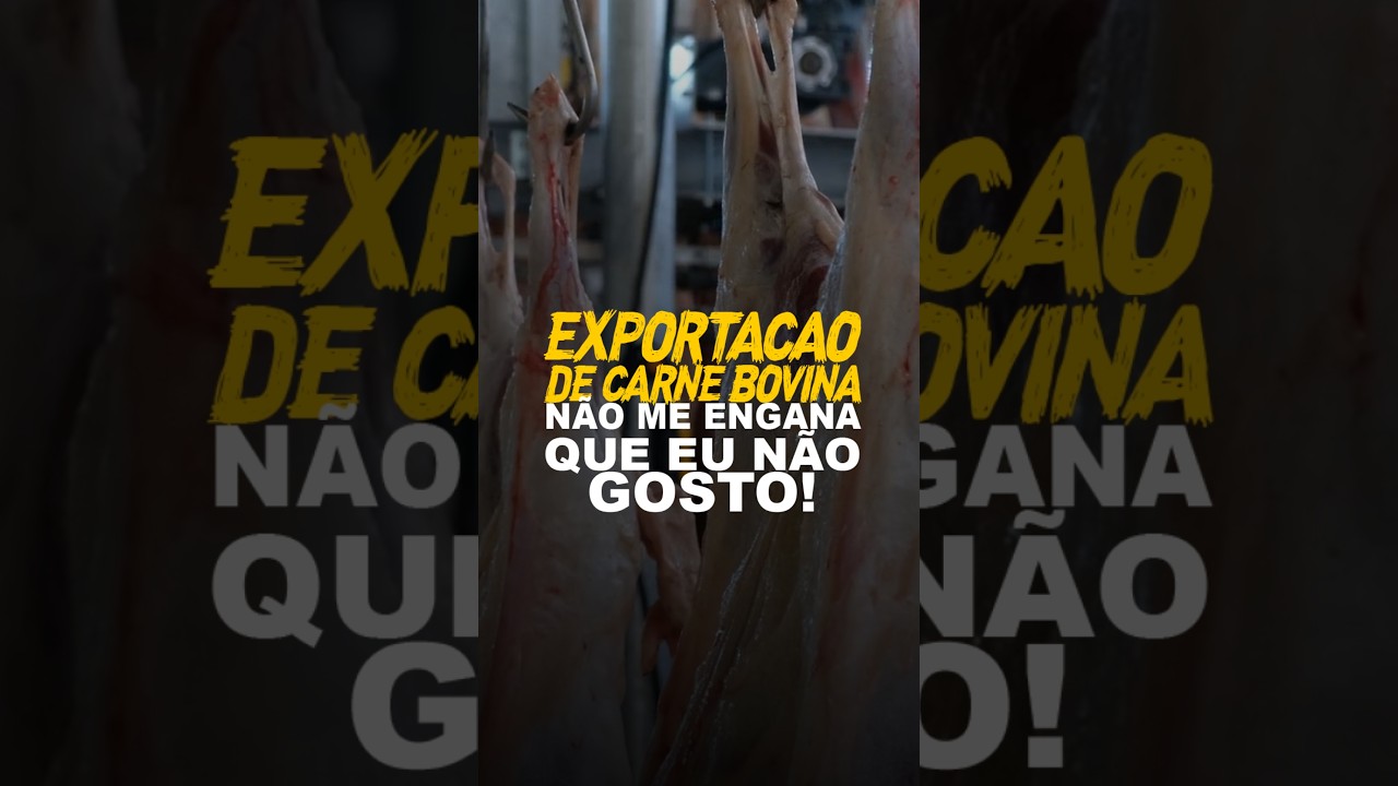EXPORTAÇÃO DE CARNE BOVINA? NÃO ME ENGANA QUE EU NÃO GOSTO!