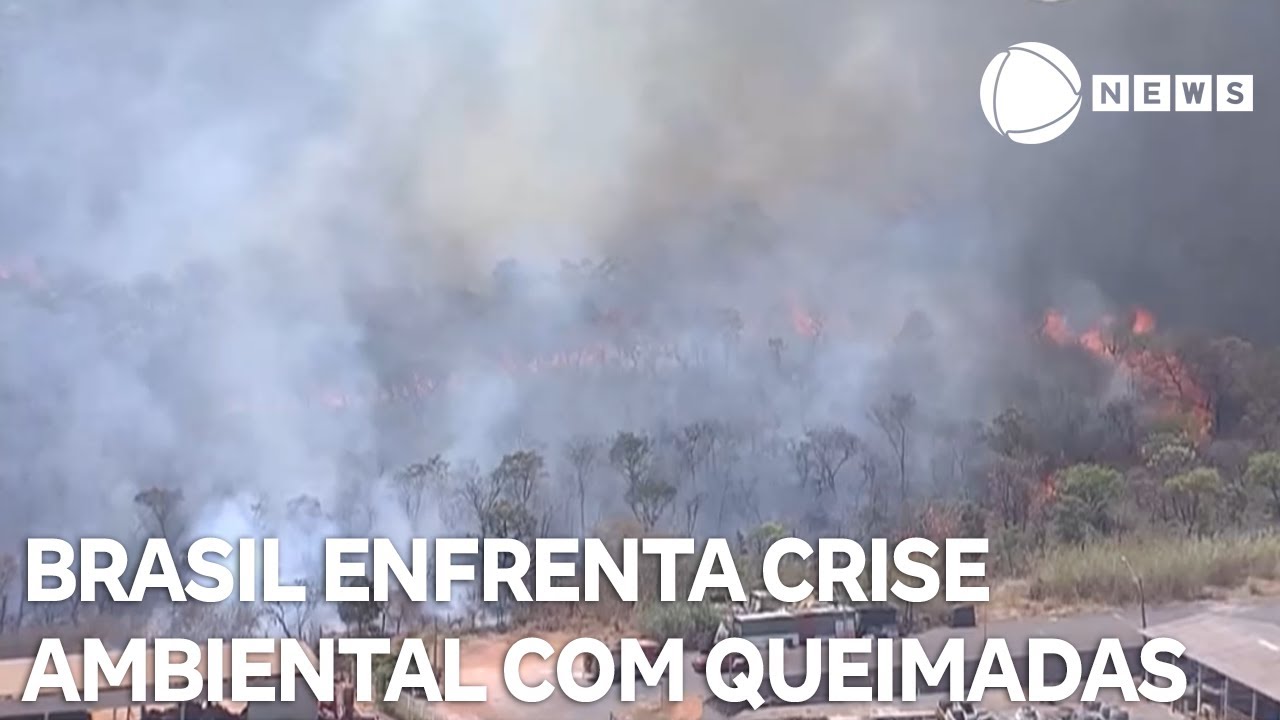 Entenda quais são os desafios do Brasil no combate às queimadas