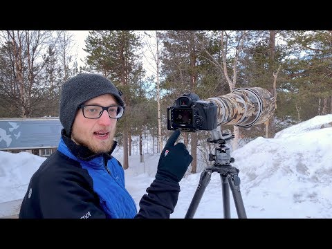 Vogelfotografie Tutorial - Singvögel in Finnland