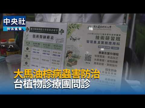 youtube影片