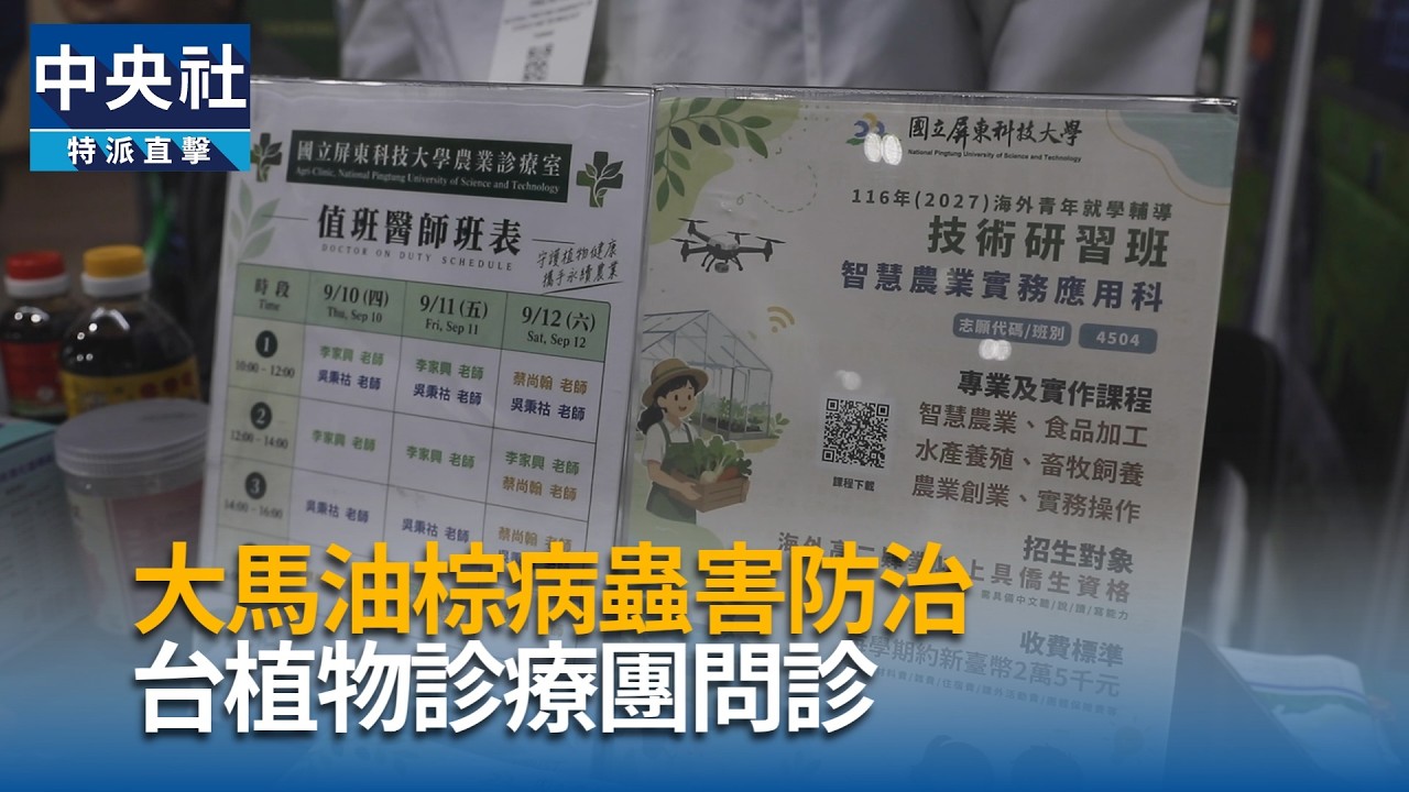 大馬油棕病蟲害防治  台植物診療團問診