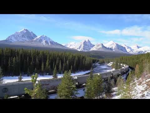 Morant’s Curve