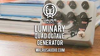Walrus Audio Luminary - What To Know & Where To Buy | Equipboard Walrus Audio Luminary - What To Know & Where To Buy | Equipboard