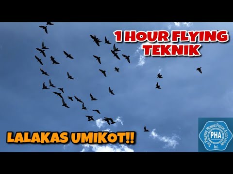 1 HOUR FLYING TEKNIK, BAGONG TUKLAS NA PAMPALAKAS NG RONDA!!