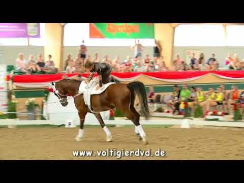 Florian Grill (AUT) - FEI Junior WC Ebreichsdorf 2017 - Male 21