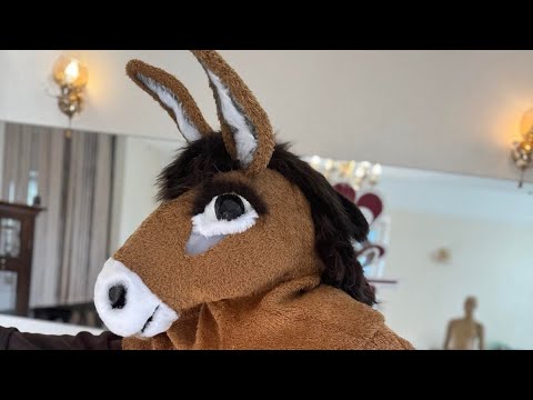 Donkey mask for the P 1807 - video 2