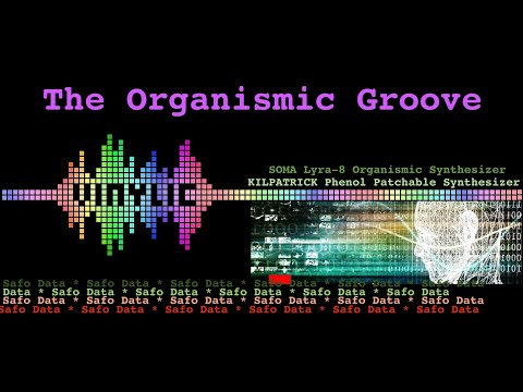 Safo Data - The Organismic Groove