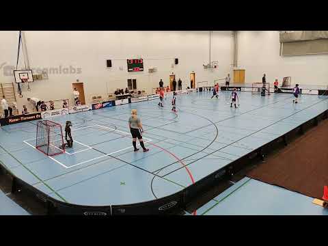 P11SKL1 Welhot Wings - Josba Punainen