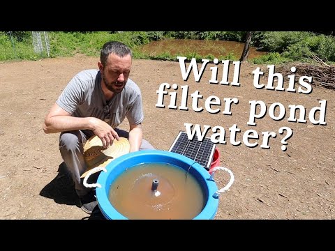 Testing a Pond Filtering Method, Orchard Update, and showing a few chicken breeds we sell