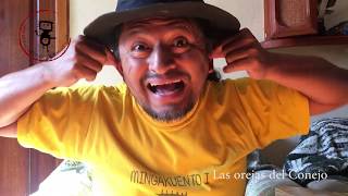 Por que el Conejo tiene orejas grandes