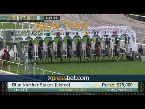 Blue Norther Stakes (Listed) - Thursday, December 29, 2016