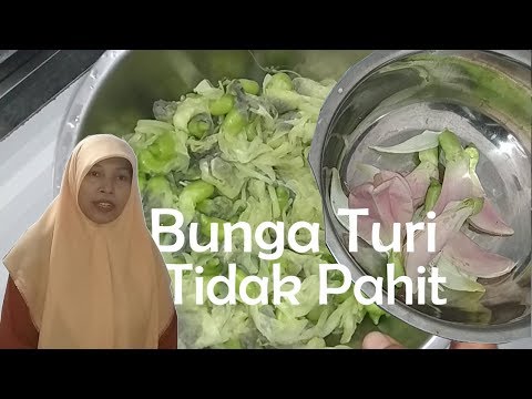 download lagu mp3 mp4 Cara Memasak Kembang Turi Agar Tidak Pahit, download lagu Cara Memasak Kembang Turi Agar Tidak Pahit gratis, unduh video klip Cara Memasak Kembang Turi Agar Tidak Pahit