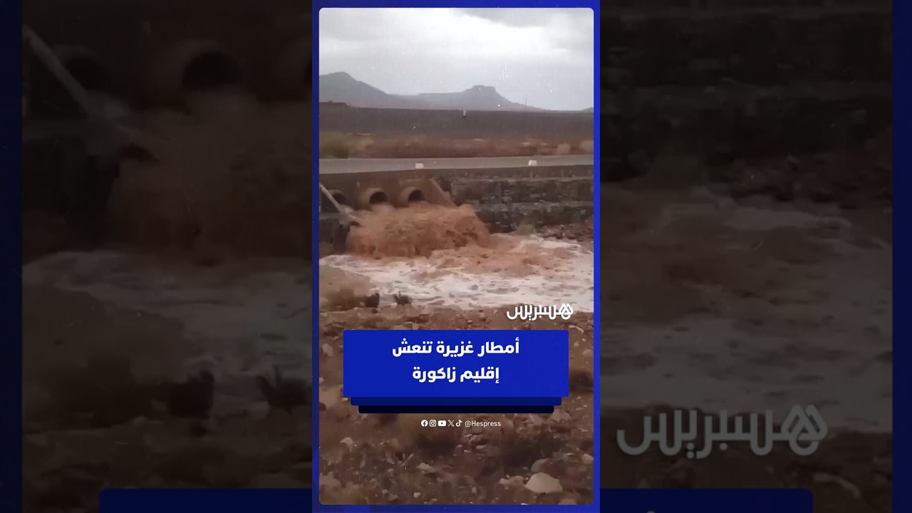 زخات مطرية قوية تعيد الحياة لإقليم زاكورة thumbnail