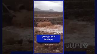 زخات مطرية قوية تعيد الحياة لإقليم زاكورة thumbnail