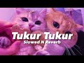 Tukur Tukur || [Slowed+Reverbe] Lofi Song 🎵 @digitalyt01