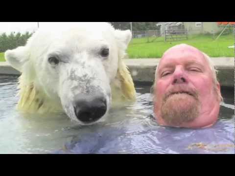 To Swim With A Polar Bear - Amazing!