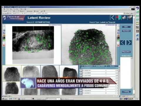 El 90 por ciento de los cadáveres de la morgue son identificados mediante sistema AFIS