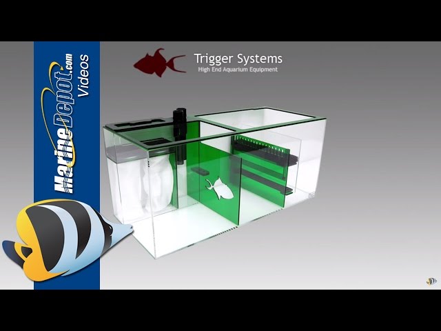Trigger Systems Sumps: Powerhouse Filter Boxes for Your Reef Tank