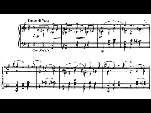 Kreisler/Rachmaninoff - Liebesleid (Love's Sorrow) [Tomoki Sakata]