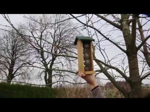 Så här enkelt är det att hjälpa småfåglarna i vinter.