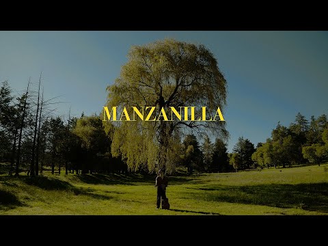 Donovan - Manzanilla