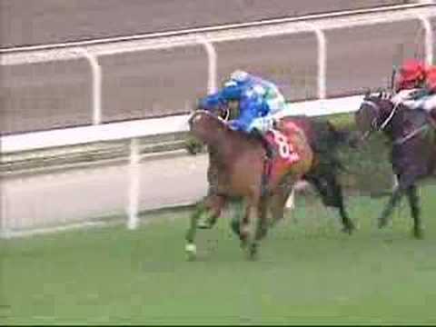 [HKIR 2006] Cathay Pacific Hong Kong Cup (G1) 2006