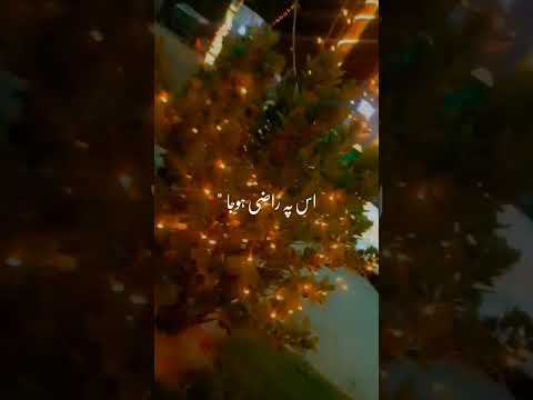 #allah ki raza me razi ❤️#shukaralhamdulillah #lighiting tree #naturelovers @Sunbalbutt1