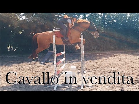 I salti sulla spalla Dolore alla schiena dopo aver dormito morbido letto
