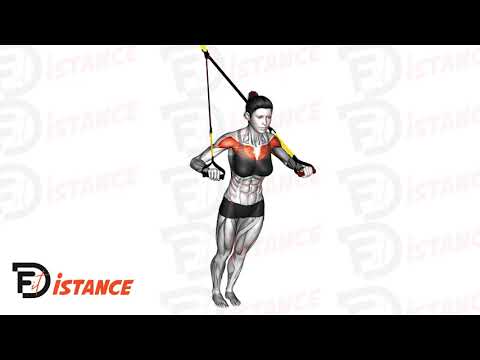 Exercice Développé couché ou pompes au TRX