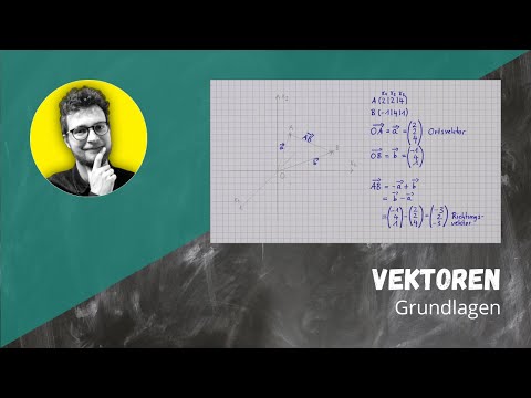 Vektoren: Grundlagen