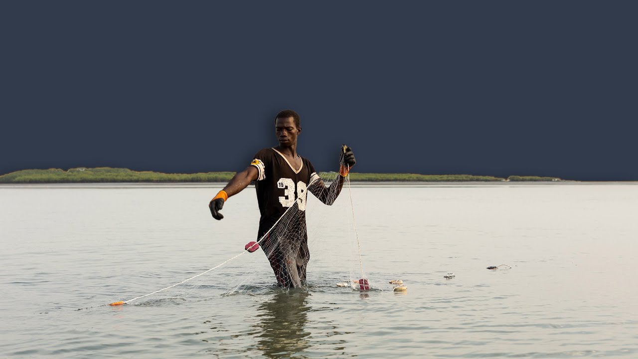 Tackling industrial fishing in West Africa