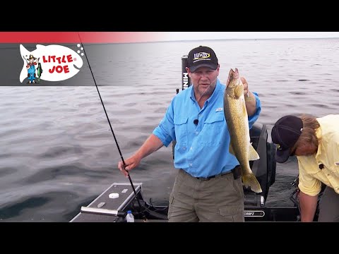 Little Joe | Spinner Colors And Warm Water Walleyes