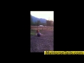 MyHorseTails Com Constipation