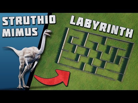 Wie schnell ist der STRUTHIOMIMUS? ►JURASSIC LABYRINTH◄ #08 - Jurassic World Evolution!