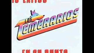 Los Temerarios - El Amor Que Te Di (with lyrics)