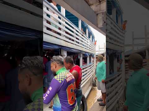 Barco Dona Fernanda chegando no Porto de Manicoré! #amazonas