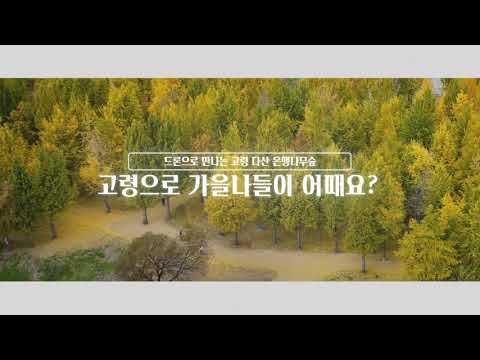 이 정도면 가을 끝판왕…