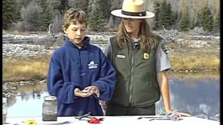 Tails From The Tetons