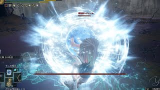 ELDEN RING 8周目難易度カンスト フィアの英雄 ノーダメージ Fia's Champions No Damage NG+7