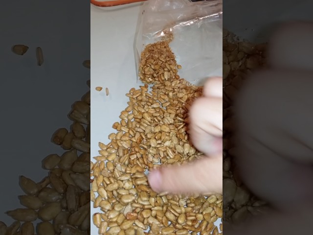 Vídeo relacionado con UGF - Comida para pájaros silvestres todo el año, 800 g, alimento para aves silvestres con semillas de girasol, gusanos de la harina y nueve ingredientes adicionales, una combinación única de