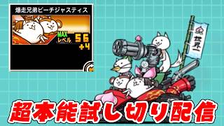 【にゃんこ大戦争】Lv60ピーチジャスティス…超本能…何も起きないはずがなく…試し切り生配信