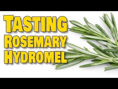 Wild Fermented Rosemary Hydromel Mead - Two YEAR Tasting