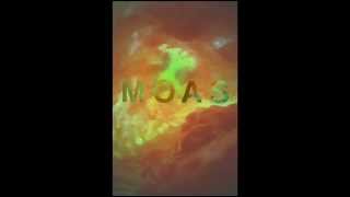 ► The Moas | "All The Time"