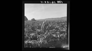 Icelandic American Folk Music (CA): Bi bi og blaka