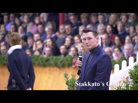 Stakkato's Golden Hengstkollektion Englisch 2019