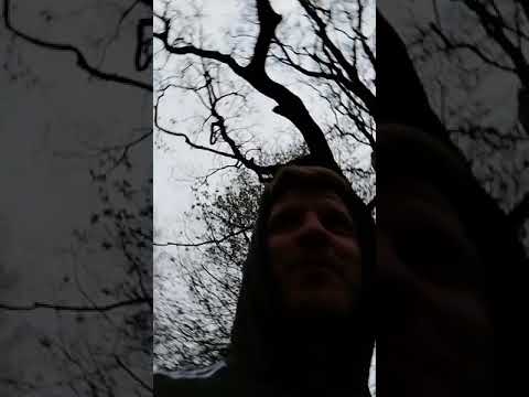 Witness21 Editor  2020 04 16